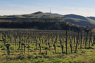 Über den Kaiserstuhl