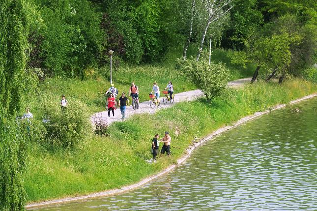 Kaiserstuhl cycle path