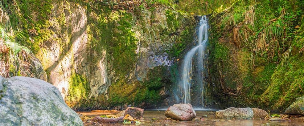 Schwarzwald Familienurlaub