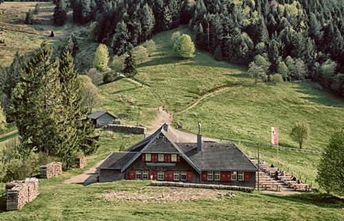 Black Forest excursion
